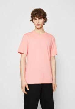 Converse Go To Embroidered Star Chevron Standard Fit Unisex - Basic T-Shirt - Lawn Flamingo