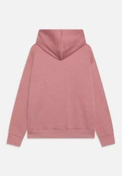 Converse SUSTAINABLE CORE HOODIE UNISEX - Hoodie - Night Flamingo -Converse Store 57a96d7b52f04031b774ecc138654416