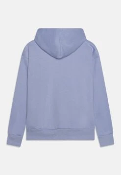 Converse SUSTAINABLE CORE HOODIE UNISEX - Hoodie - Mystic Sky -Converse Store 588c9d0d37ee47f8b55e50ba6797dd60