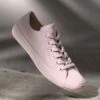Converse CHUCK TAYLOR ALL STAR - Trainers - Shy Flamingo/egret
