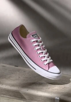 Converse CHUCK TAYLOR ALL STAR UNISEX - Trainers - Cliffside Rose