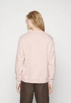 Converse Go-To Embroidered Star Standard - Sweatshirt - Pink Sage -Converse Store 96de722c969a4f7f82ee709abda61602