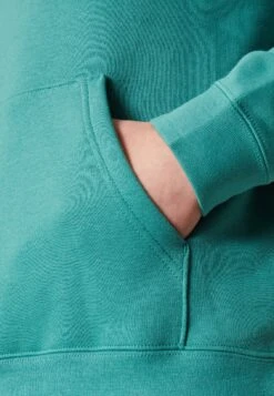 Converse Go To Embroidered Star Chevron Hood Unisex - Sweatshirt - Algae Coast -Converse Store 9c3be3f46373443599c7c5f6b8ac748d