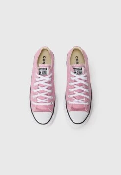Converse CHUCK TAYLOR ALL STAR - Trainers - Cliffside Rose/white/black -Converse Store a9a291293cc1428ea22bd44d1c79a620